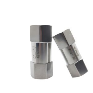 stainless steel female check valve
