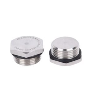 Stainless steel Hex Blind Plug