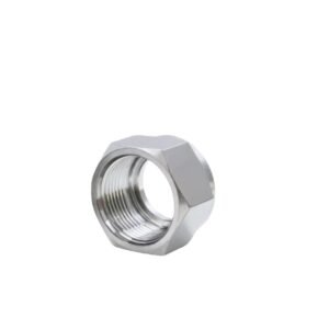 Stainless Steel hex Nuts